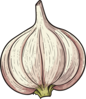 AI generated garlic clipart design illustration png