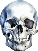 AI generated Human skull clipart design illustration png