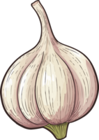 AI generated garlic clipart design illustration png