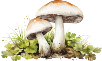 AI generated Mushroom clipart design illustration png