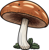 AI generated Mushroom clipart design illustration png