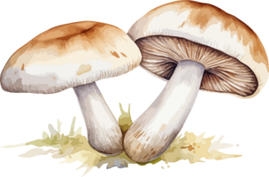 ai généré champignon clipart conception illustration png