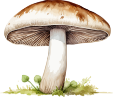 ai généré champignon clipart conception illustration png