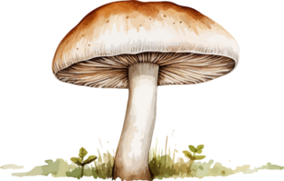 ai généré champignon clipart conception illustration png