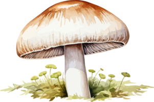 ai généré champignon clipart conception illustration png