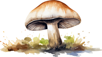 ai généré champignon clipart conception illustration png