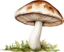 ai généré champignon clipart conception illustration png