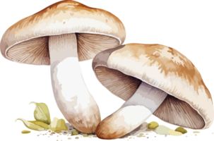 ai généré champignon clipart conception illustration png