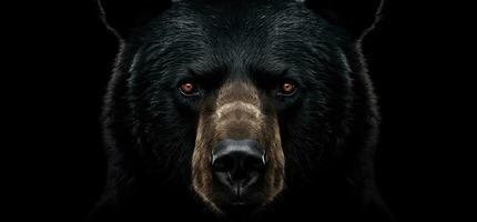 ai generado un negro oso en el oscuro tiene sus cabeza arriba foto