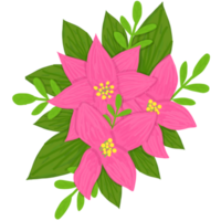 Blume Rosa Blume png