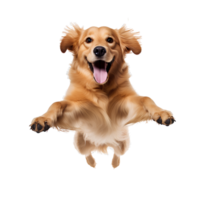 ai gegenereerd schattig en pret honden Aan transparant achtergrond PNG