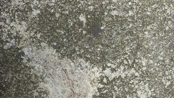 Rough grey cement wall background. Abstract old concrete background. photo