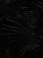 AI generated cobwebs at night, AI generated. photo