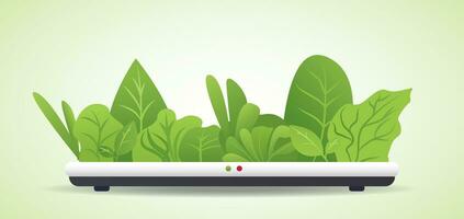 Selective focus, seedlings of hydroponic grow vegetables in a hydroponic grow container, Vector illustration