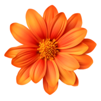 AI generated set of beautiful orange flowers PNG