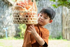 pequeño asiático chico participación un cesta de hongos con hongos en el cesta foto