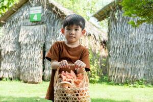 pequeño asiático chico participación un cesta de hongos con hongos en el cesta foto