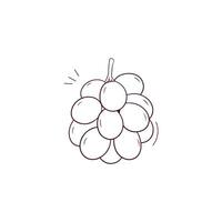 Hand Drawn illustration of grapes icon. Doodle Vector Sketch Illustration