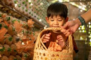 little asian boy Having fun picking mushrooms in the mushroom factory. photo