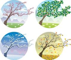 Four Seasons Set vector