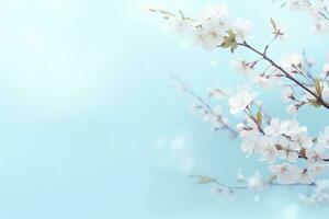 AI generated Spring festival cherry blossoms adorn the budding cherry tree photo