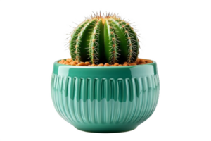 AI generated Cactus Arrangement in Glossy Turquoise Pot Isolated on transparent Background png