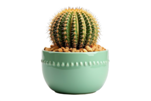 AI generated Cactus Arrangement in Glossy Turquoise Pot Isolated on transparent Background png