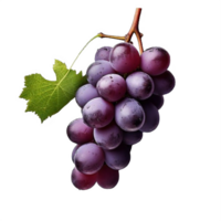 AI generated Ripe Bunch of Purple Grapes with Dew Drops Isolated on transparent background png