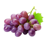 ai gerado maduro grupo do roxa uvas com orvalho gotas isolado em transparente fundo png