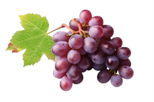 AI generated Ripe Bunch of Purple Grapes with Dew Drops Isolated on transparent background png