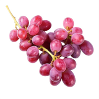 ai generado maduro manojo de púrpura uvas con Rocío gotas aislado en transparente antecedentes png