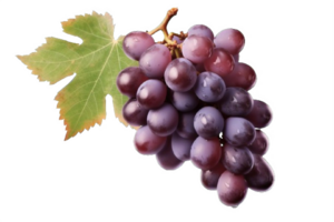 AI generated Ripe Bunch of Purple Grapes with Dew Drops Isolated on transparent background png