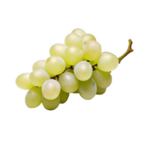 ai gerado grupo do fresco verde uvas com folha isolado em transparente fundo png