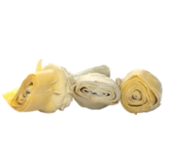 artichoke hearts in oil png