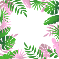 cadre avec des feuilles tropicales png