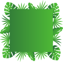 Frame with tropical leaves png