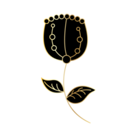 Black with golden line plant png