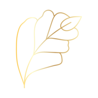 Golden lineal plant png