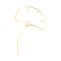 Golden lineal plant png
