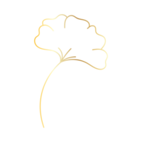 gouden lineal fabriek png