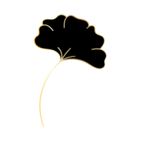 Black with golden line plant png