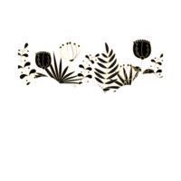 Black and golden flowers frame png