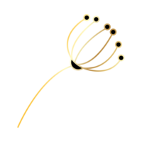 Golden lineal plant png