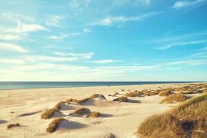 amplio arenoso playa en del Norte Dinamarca foto