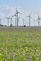 Wind park in northern Germany photo