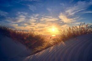 Sunset in the Dunes of northern Denmark photo