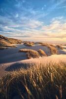 Sunset at the wild Dunes of northern Denmark photo