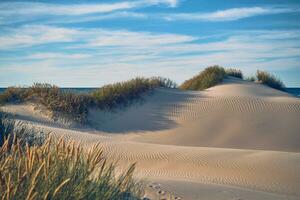 Sandy beach at the north sea coast in denmark photo