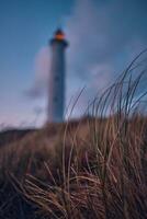 Lighthouse in the background at the dunes of the danish coast photo