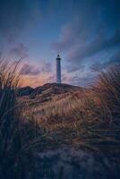 white Lighthouse in the dunes of the danish north sea coast photo